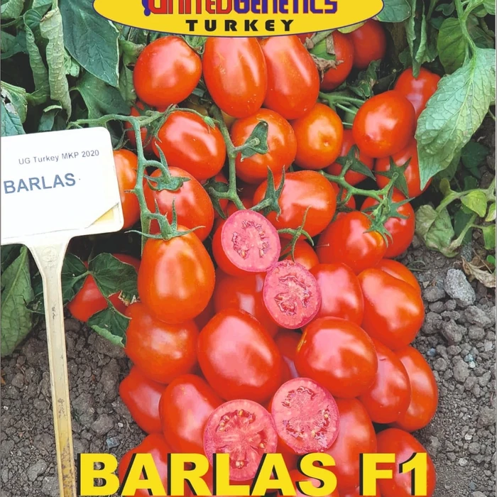 Barlas Domates �e�idi